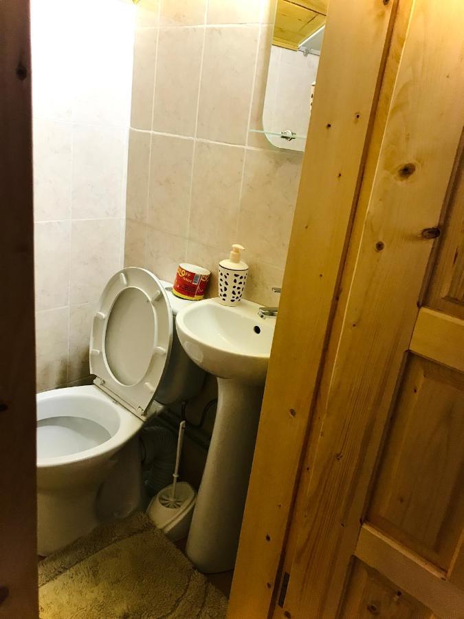 За Горбами Apartment Yaremche Exterior photo